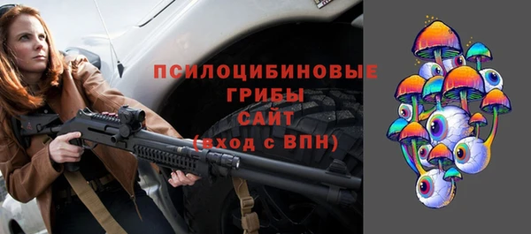 не бодяженный Елабуга
