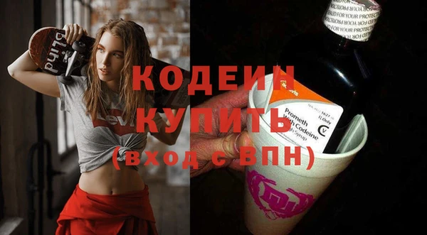 трава Ельня