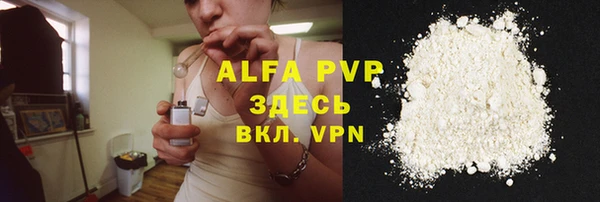 трава Ельня