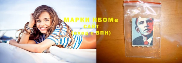трава Ельня