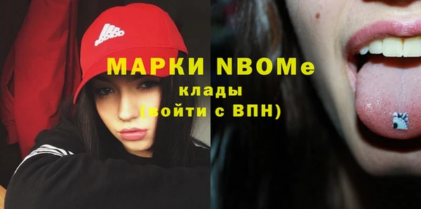 трава Ельня