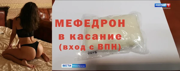 трава Ельня