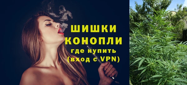 трава Ельня