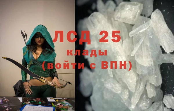 трава Ельня